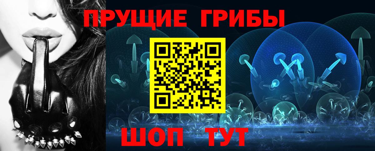 Галлюциногенные грибы Cubensis  Галлюциногенные грибы GOLDEN TEACHER  Мариинск  Вход с VPN 
